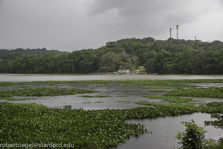 panama